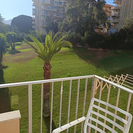 Midori Estudio Minerva * بينالماذينا