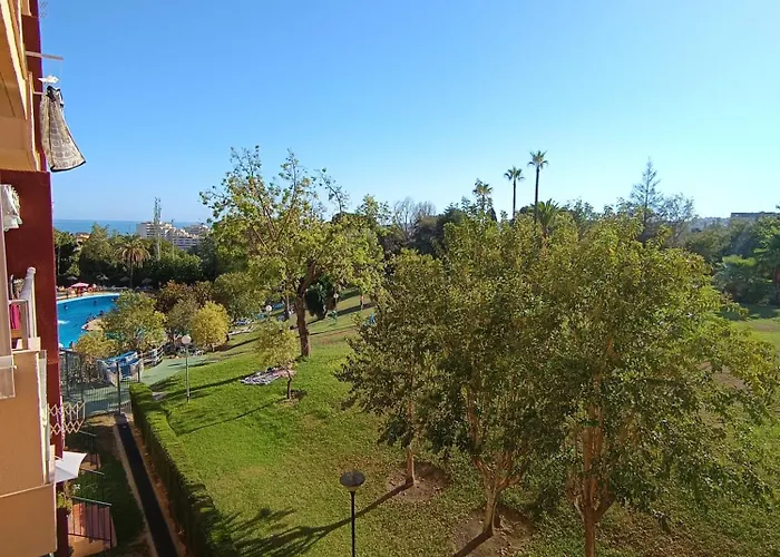 Midori Estudio Minerva * بينالماذينا