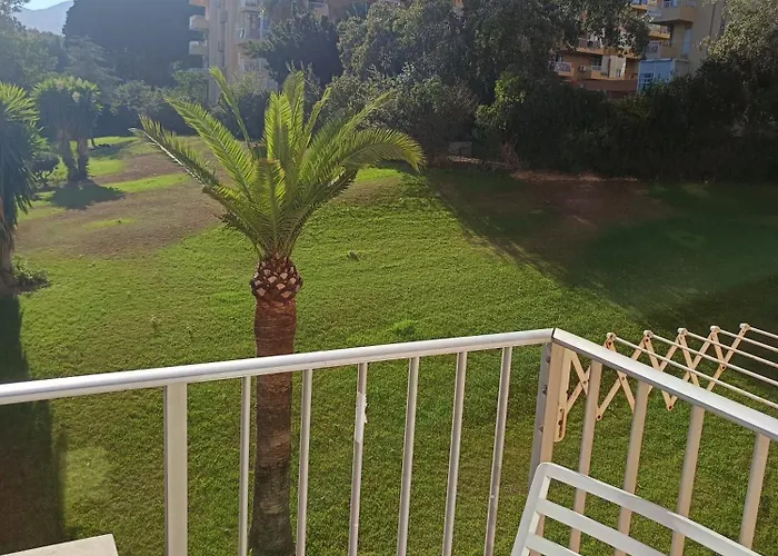 Midori Estudio Minerva * بينالماذينا